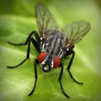 /album/contmistportsi/photolia-a01-jpg/