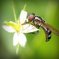 /album/contmistportsi/photolia-a02-jpg/