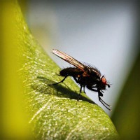 /album/contmistportsi/photolia-a04-jpg/