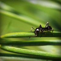 /album/contmistportsi/photolia-a05-jpg/