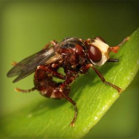 /album/contmistportsi/photolia-a06-jpg/