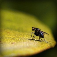 /album/contmistportsi/photolia-a07-jpg/