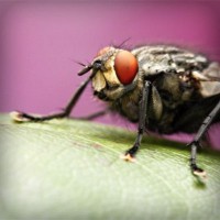 /album/contmistportsi/photolia-a08-jpg/